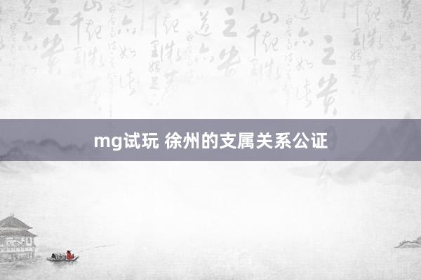 mg试玩 徐州的支属关系公证