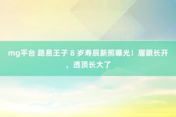 mg平台 路易王子 8 岁寿辰新照曝光！眉眼长开，透顶长大了