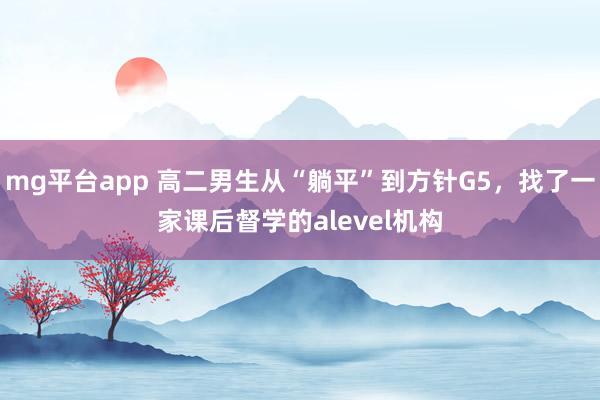 mg平台app 高二男生从“躺平”到方针G5，找了一家课后督学的alevel机构