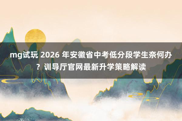 mg试玩 2026 年安徽省中考低分段学生奈何办？训导厅官网最新升学策略解读