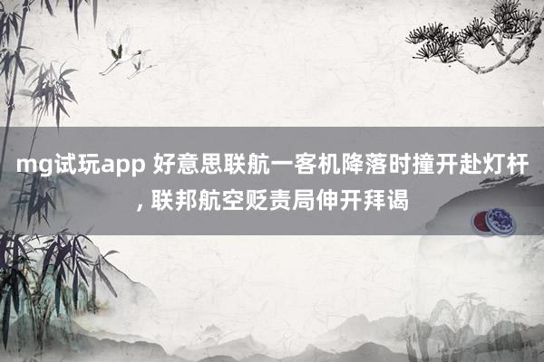 mg试玩app 好意思联航一客机降落时撞开赴灯杆, 联邦航空贬责局伸开拜谒