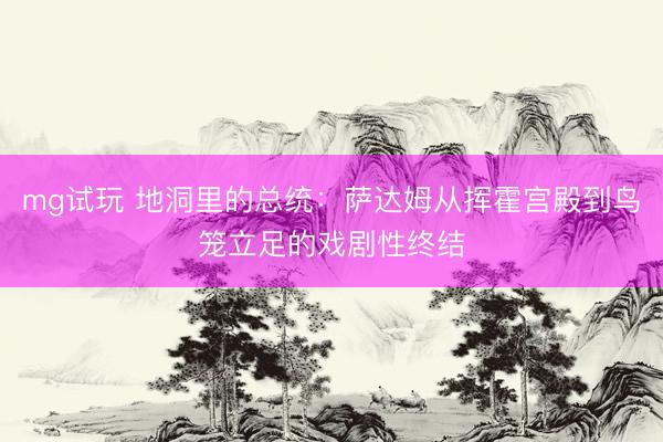 mg试玩 地洞里的总统：萨达姆从挥霍宫殿到鸟笼立足的戏剧性终结