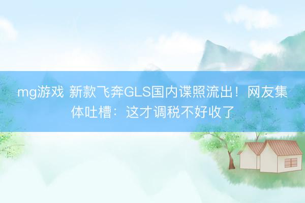 mg游戏 新款飞奔GLS国内谍照流出！网友集体吐槽：这才调税不好收了